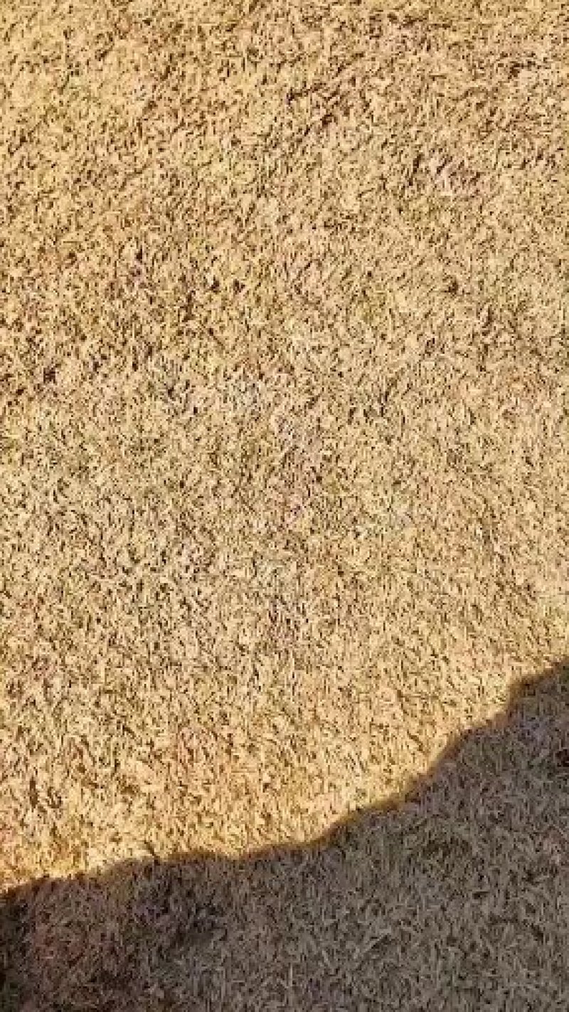 稻壳