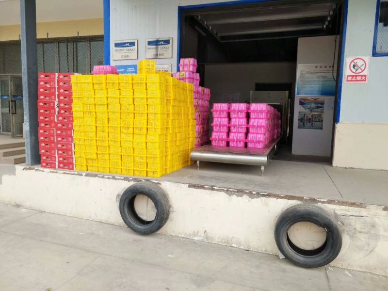 小白杏净装4斤总重量4.2斤空运和整车
