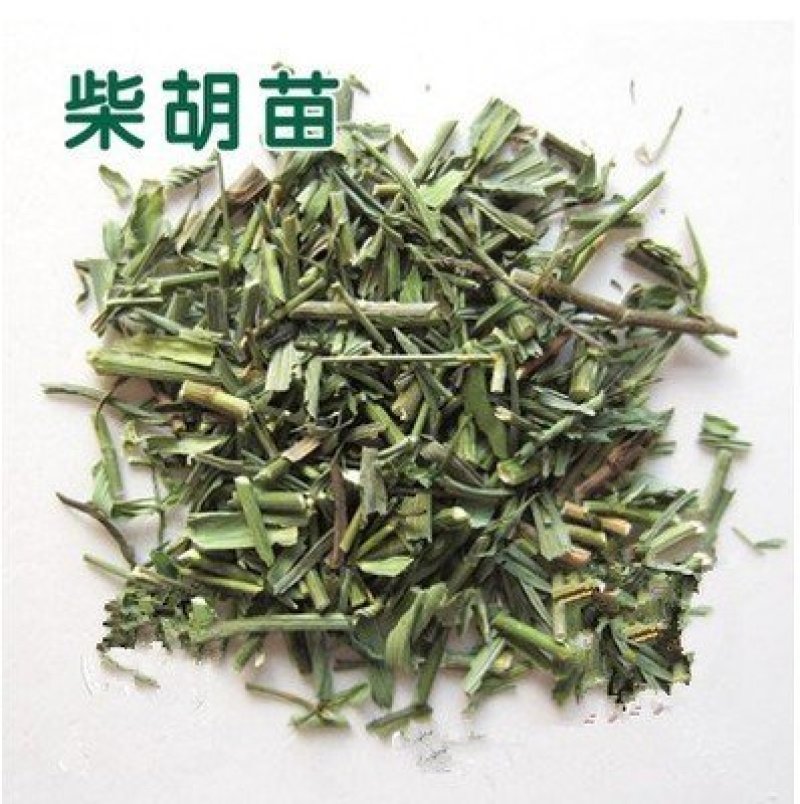 柴胡苗，常年批发供应柴胡苗中药材，量大从优