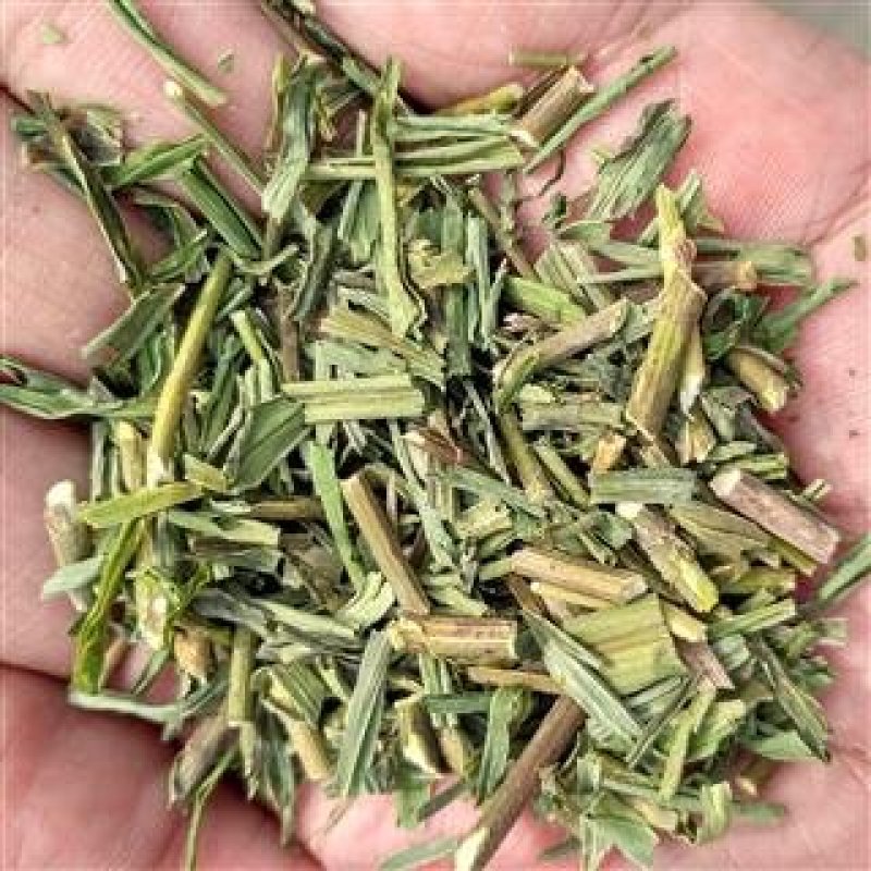 柴胡苗，常年批发供应柴胡苗中药材，量大从优