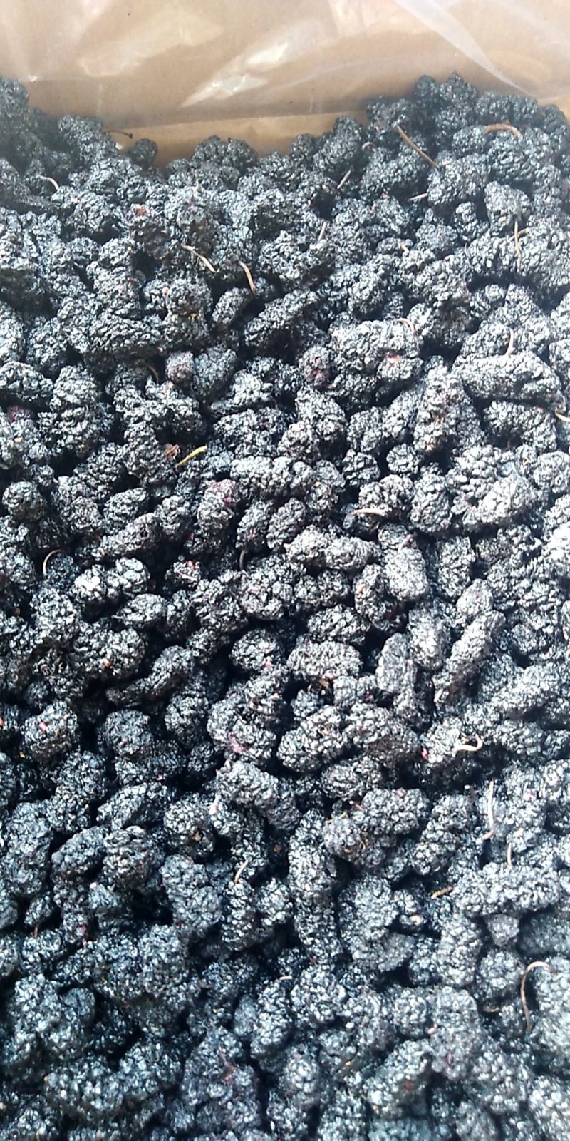 黑珍珠桑葚干，优等桑葚干