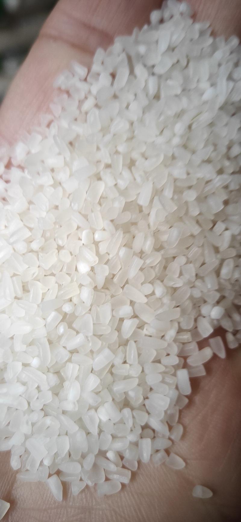 碎米/大米/酿酒专用米/粥米货源充足量大从优