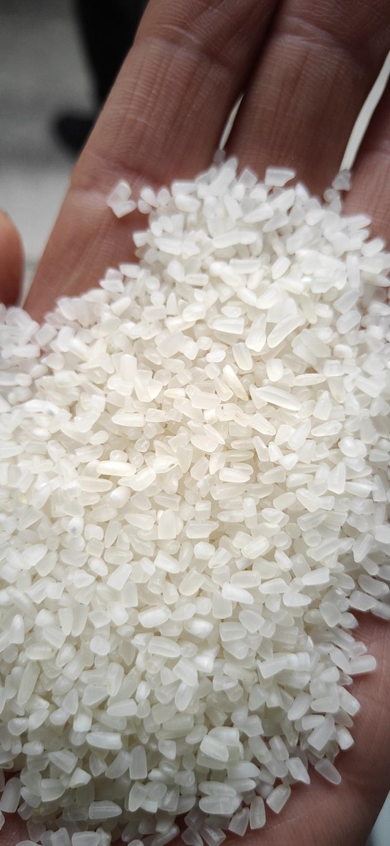 碎米/大米/酿酒专用米/粥米货源充足量大从优
