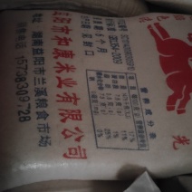 桂朝大米，做肠粉，做米皮米线都可以货源充足量大从优