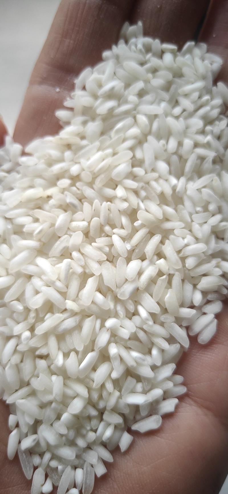 白米，选白米，做米饭，熬粥，货源充足量大从优