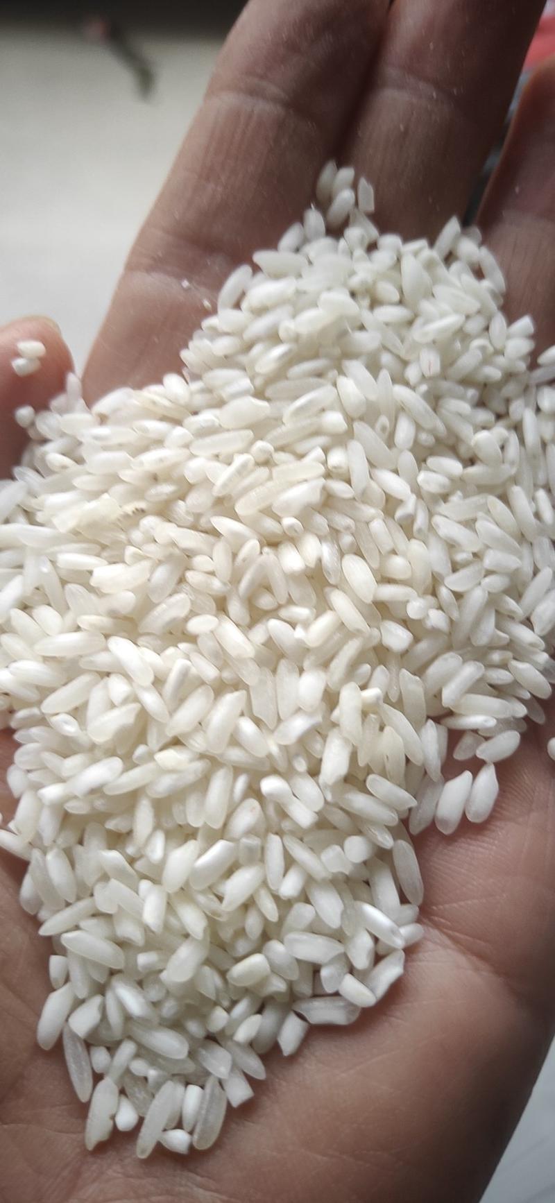 白米，选白米，做米饭，熬粥，货源充足量大从优