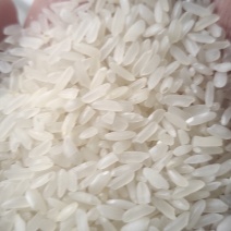 优质大米/长米/黄花粘货源充足量大从优