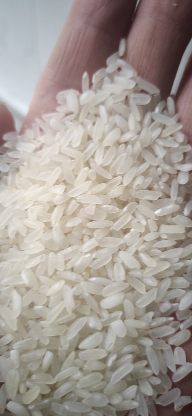优质大米/长米/黄花粘货源充足量大从优