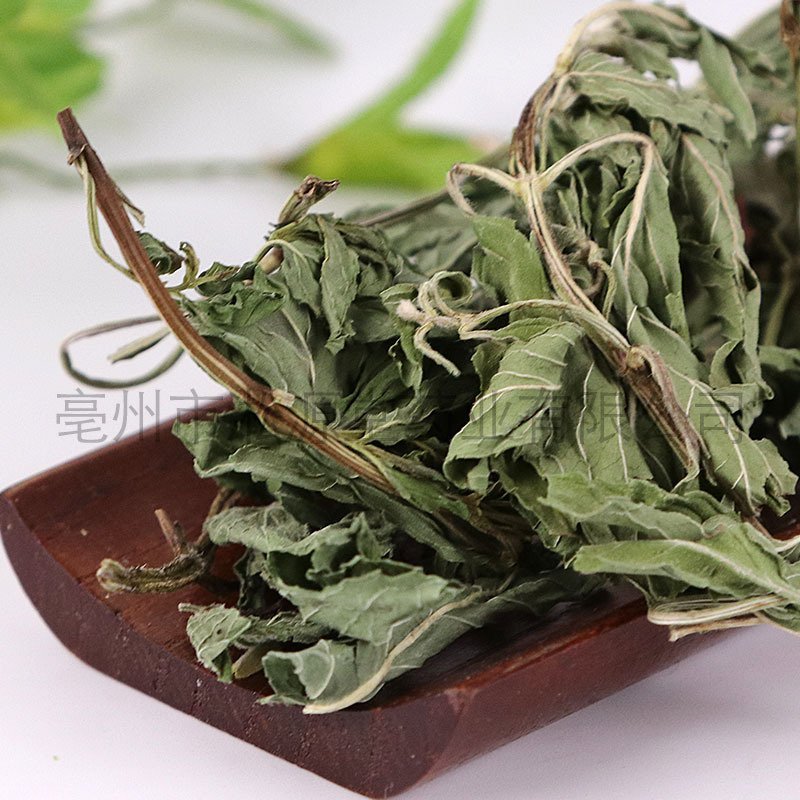 薄荷叶产地直销量大从优