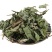 薄荷叶产地直销量大从优