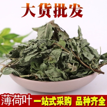 薄荷叶产地直销量大从优