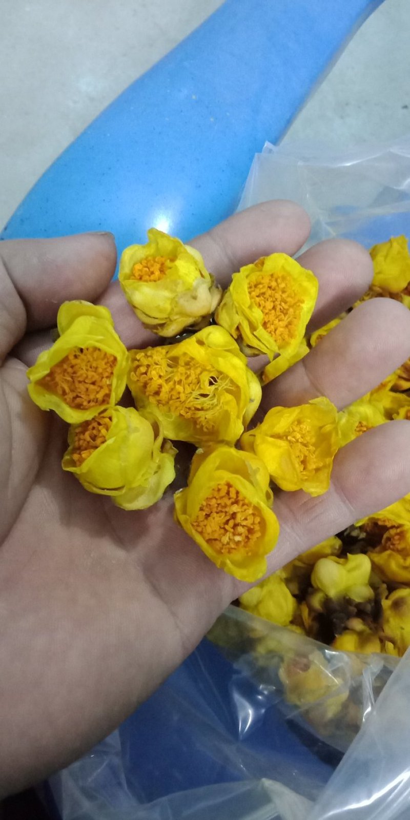 防普金花茶烘干花。防城港产地自销。150元一斤，2斤起走