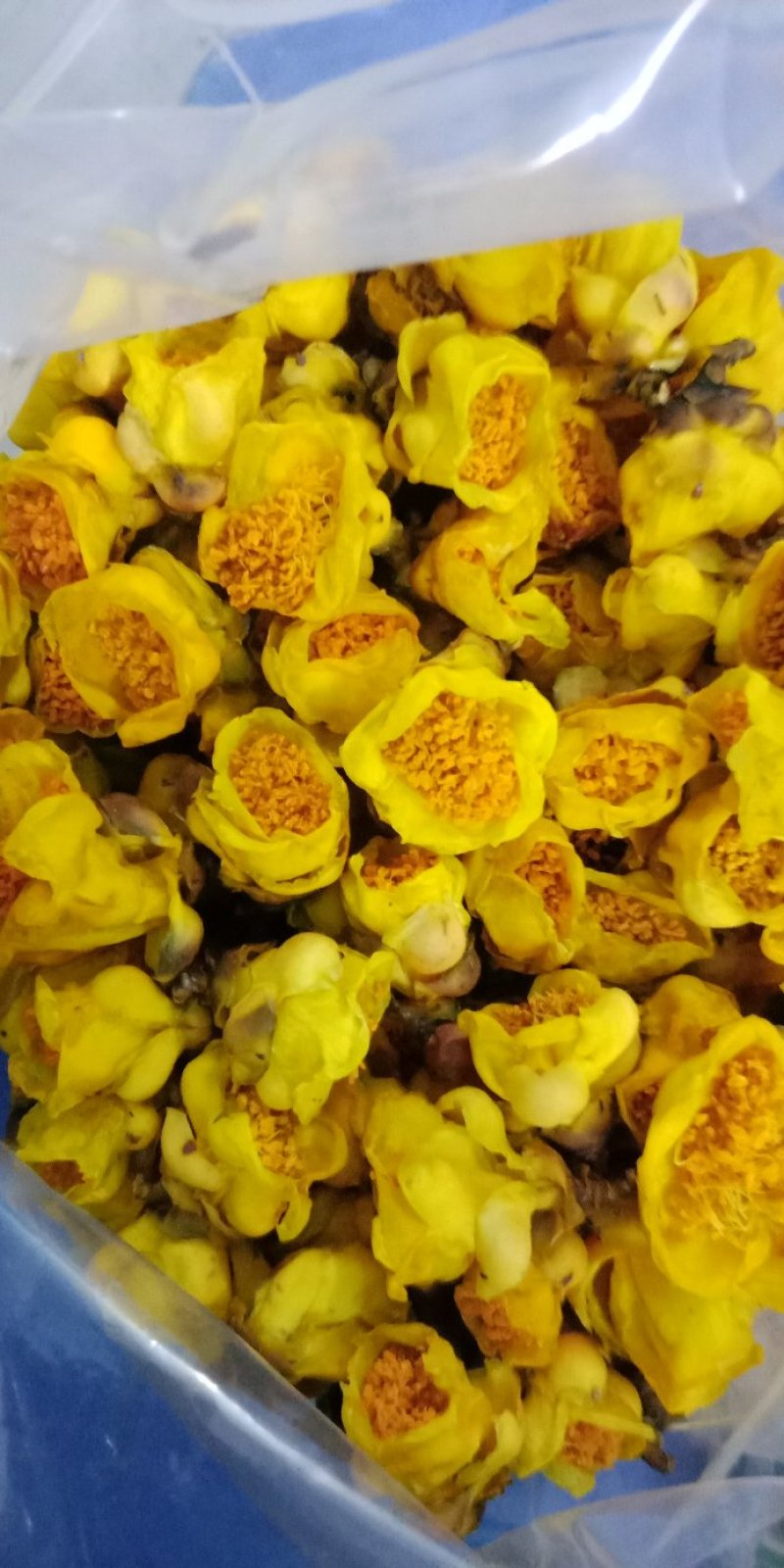 防普金花茶烘干花。防城港产地自销。150元一斤，2斤起走