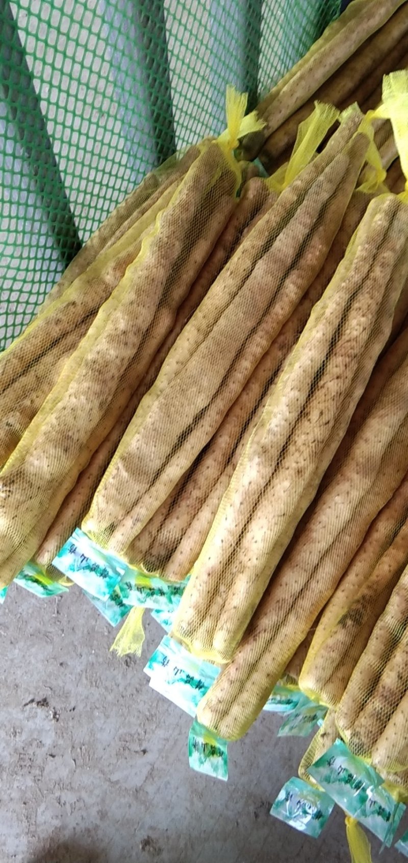 大量供应小白嘴精品网袋，根据客户要求定制2/3斤