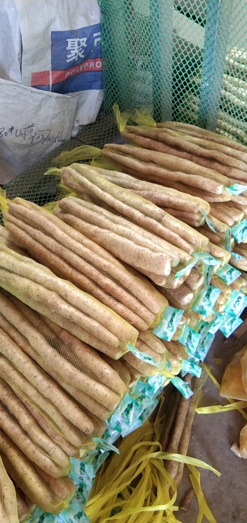 大量供应小白嘴精品网袋，根据客户要求定制2/3斤