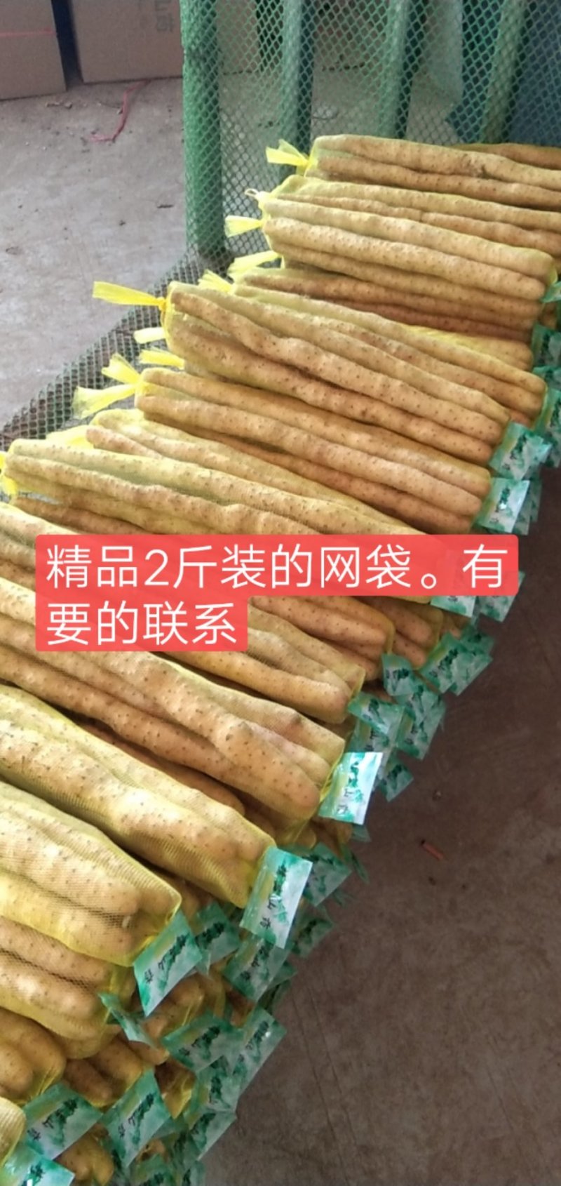 大量供应小白嘴精品网袋，根据客户要求定制2/3斤
