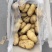 土豆荷兰十五土豆品种保证货源充足值得购买