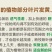 栀子花四季常青牡丹栀子花大特香