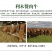 晋南黄牛厂家直销价格优惠自繁自养送货上门