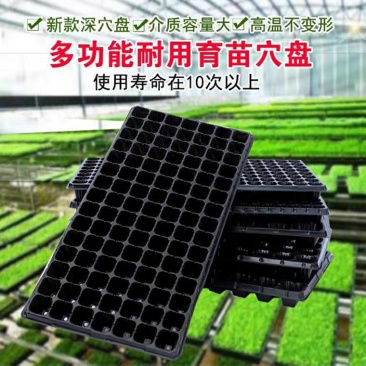育苗盘多肉小花盆小号带托盘育种营养袋长方形盒子杯子培育箱