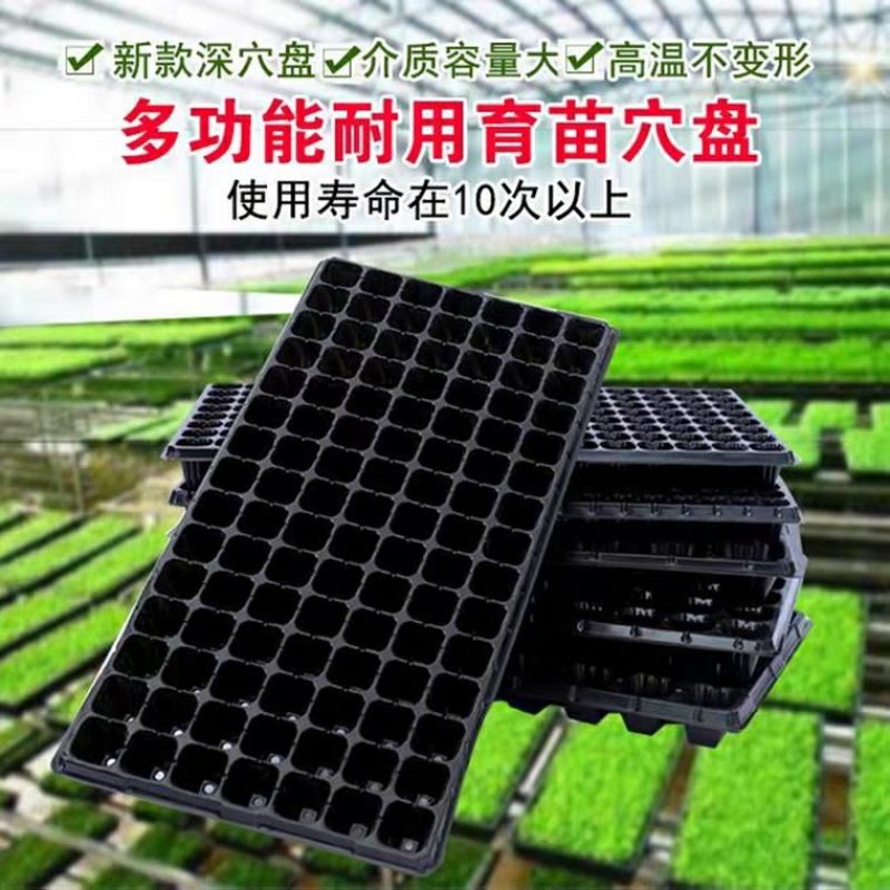 育苗盘多肉小花盆小号带托盘育种营养袋长方形盒子杯子培育箱