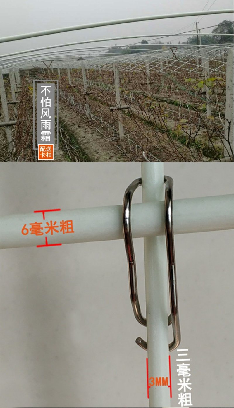 温室大棚配件不锈钢压顶簧钢丝夹弹簧固定夹大棚卡扣钢