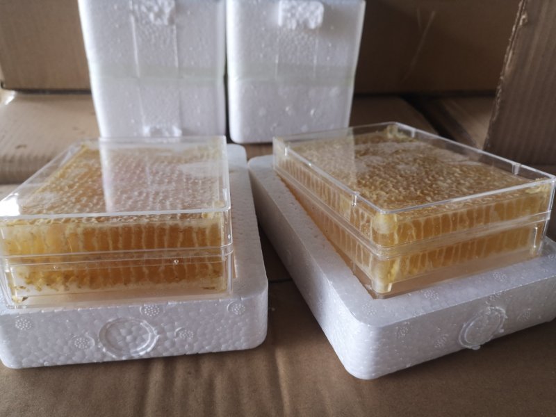 500克新蜂巢蜜野生天然纯正蜂蜜源头蜂场直销批发一件代发