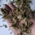 伸筋草沫子成品两种规格供应统批发零售各种草药规格齐全