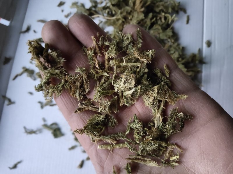 伸筋草沫子成品两种规格供应统批发零售各种草药规格齐全