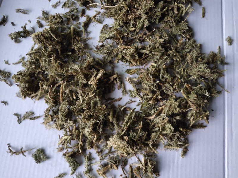 伸筋草沫子成品两种规格供应统批发零售各种草药规格齐全