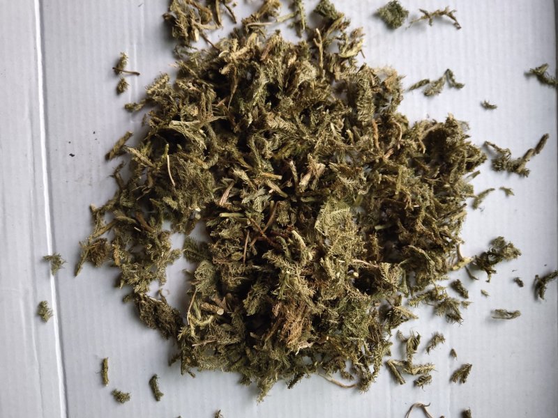 伸筋草沫子成品两种规格供应统批发零售各种草药规格齐全