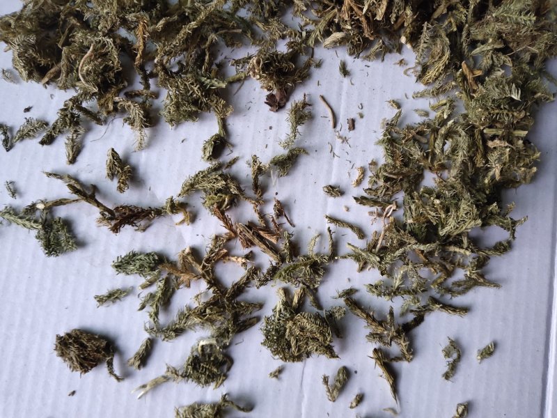 伸筋草沫子成品两种规格供应统批发零售各种草药规格齐全