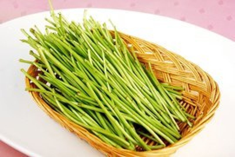 藜篙，芦篙，新鲜蔬菜，娇艳欲滴