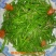 藜篙，芦篙，青芦篙，新鲜蔬菜，清脆可人