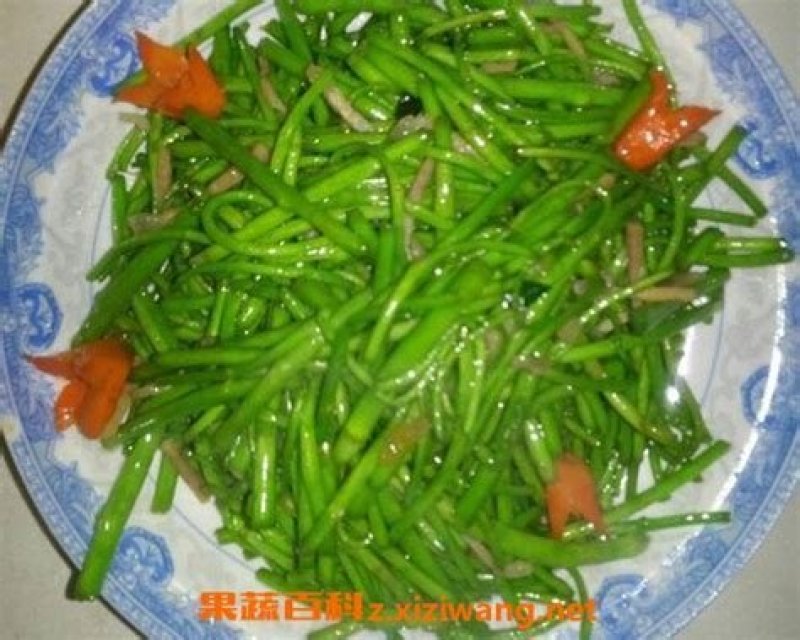 藜篙，芦篙，青芦篙，新鲜蔬菜，清脆可人