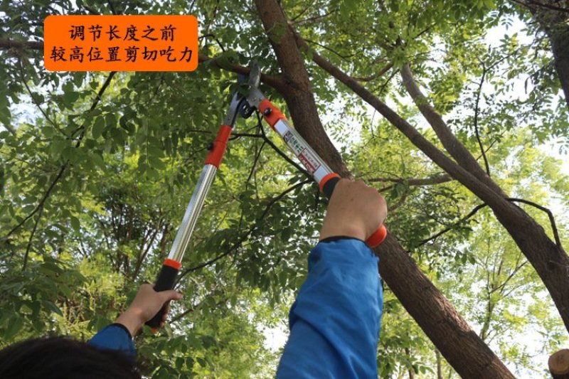 〈包邮〉进口粗枝果树修枝剪树枝剪刀粗枝剪大力剪家用大剪刀