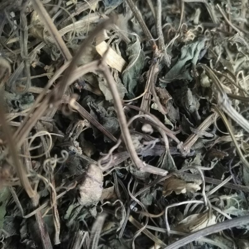 深山野生绞股蓝无硫正品绞股蓝茶无硫中药材