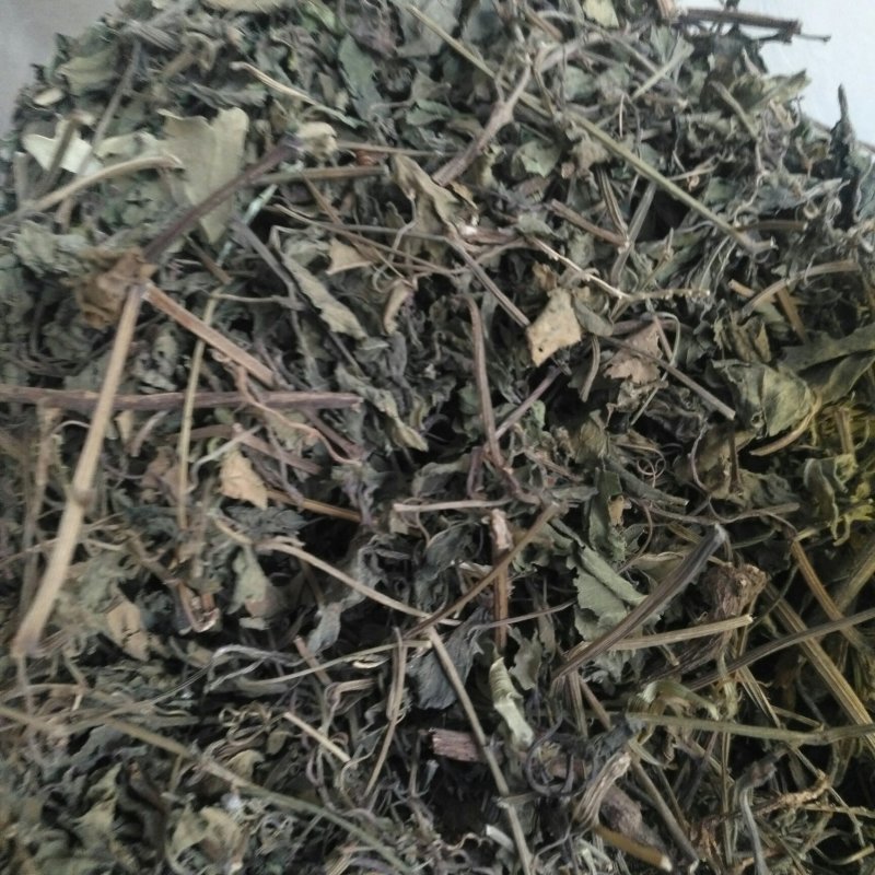 深山野生绞股蓝无硫正品绞股蓝茶无硫中药材