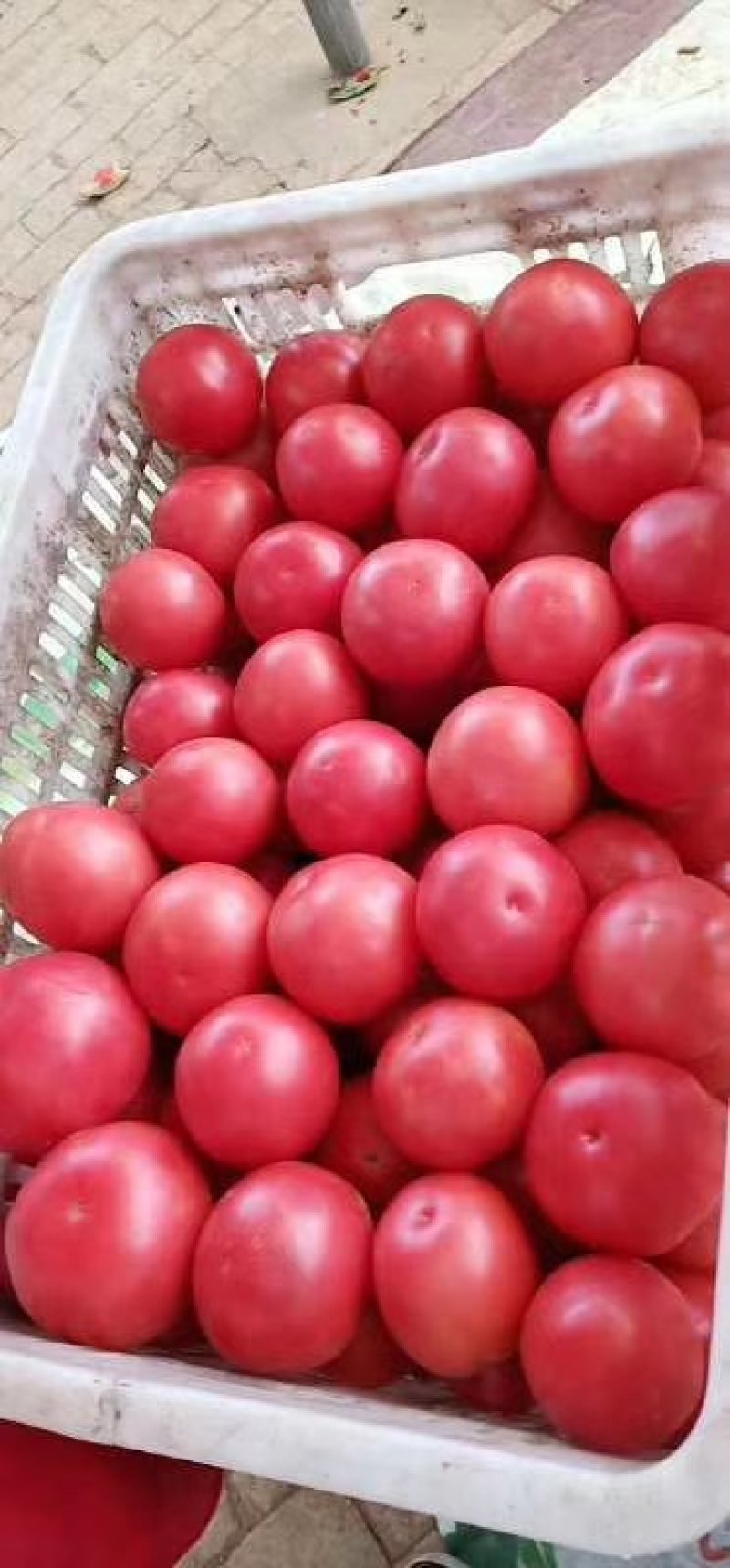 精品硬粉西红柿，货源充足，产地发货，物廉价美，硬度亮度好