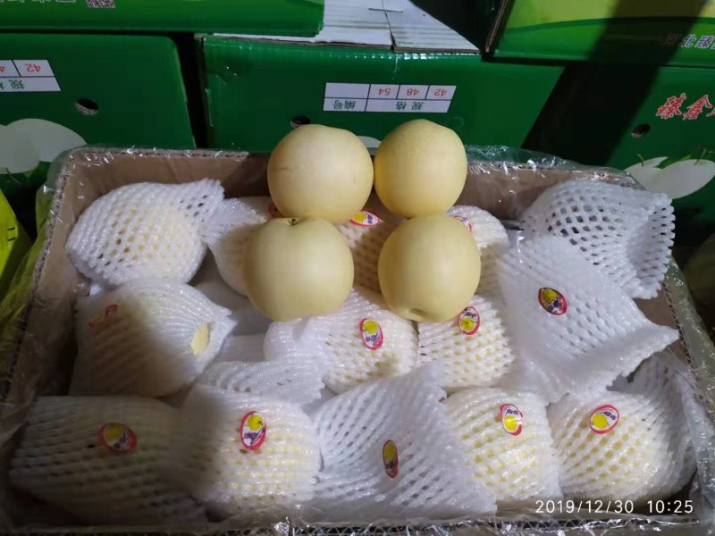 皇冠梨【新梨】一级果，二级果，大量现货，现货，质量有保证