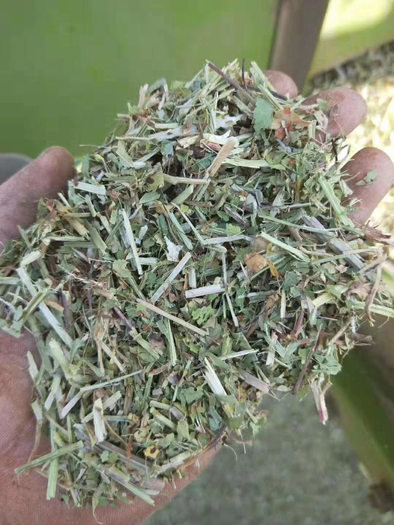 花生秧牛草供应