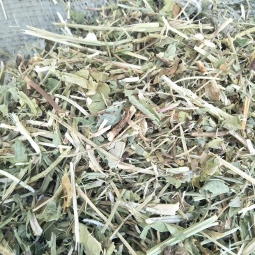 花生秧牛草供应