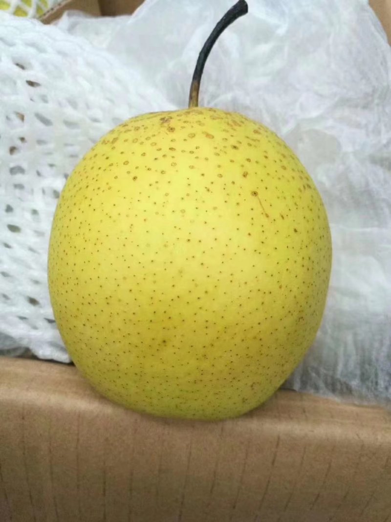 精品(箱装)（筐装)清库梨价低雪花梨质量有保证诚信经营