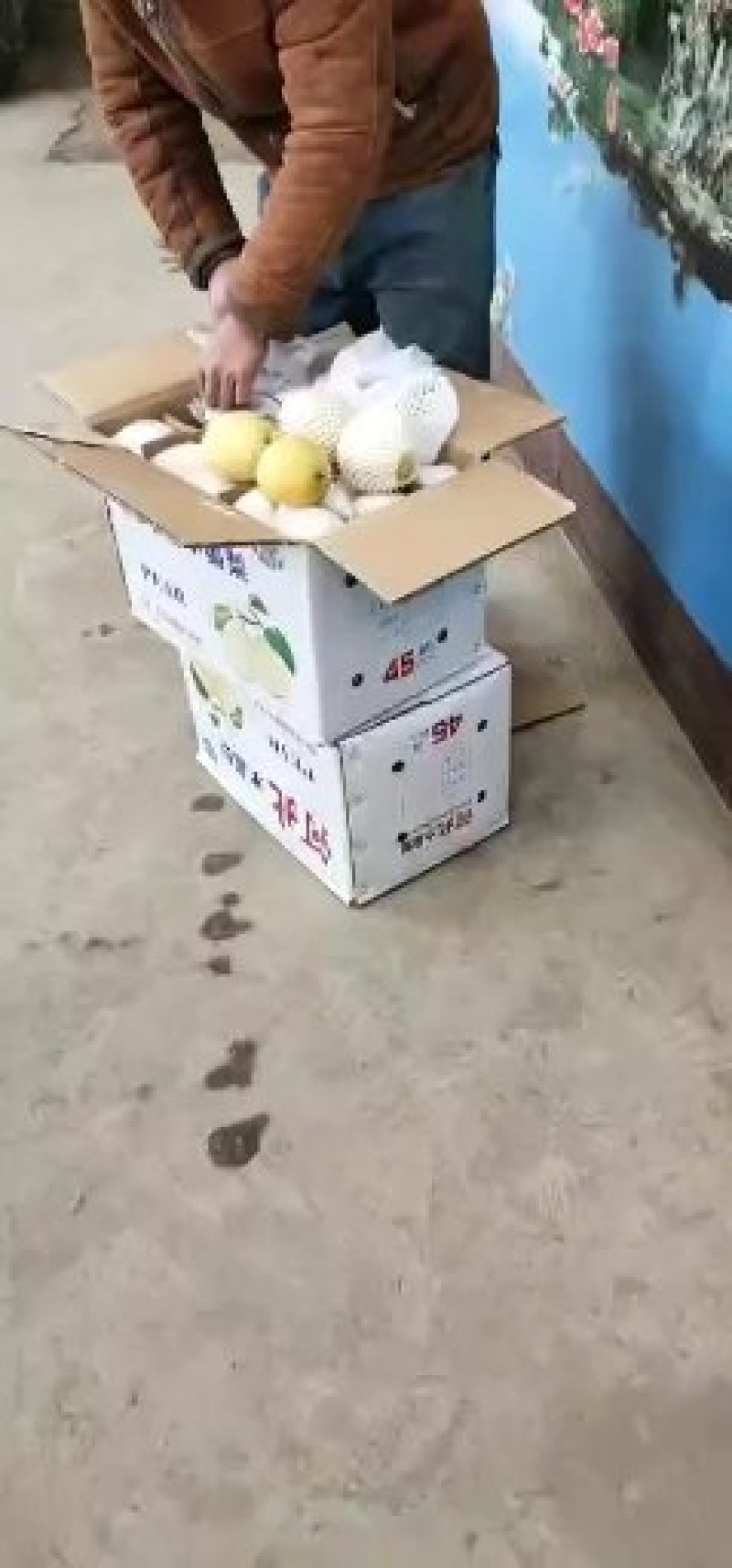 雪花梨(筐装)（箱装），特价清库梨每天有货现货，价格低