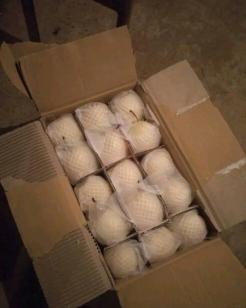 雪花梨(筐装)（箱装），特价清库梨每天有货现货，价格低