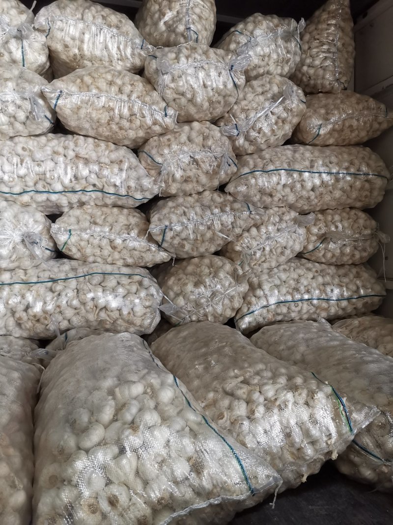 苍山四六瓣大蒜，印尼蒜，市场蒜。品质好价格优欢迎采购