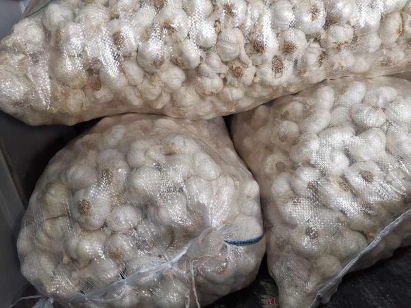 苍山四六瓣大蒜，印尼蒜，市场蒜。品质好价格优欢迎采购