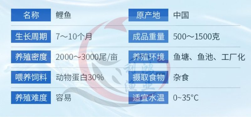 鲤鱼苗建鲤杂交鲤超级鲤全国包活发货