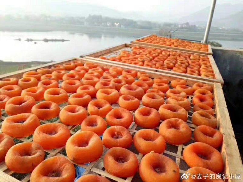 广西柿饼吊柿特级大柿饼子农家自制柿饼