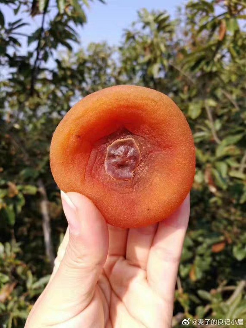广西柿饼吊柿特级大柿饼子农家自制柿饼